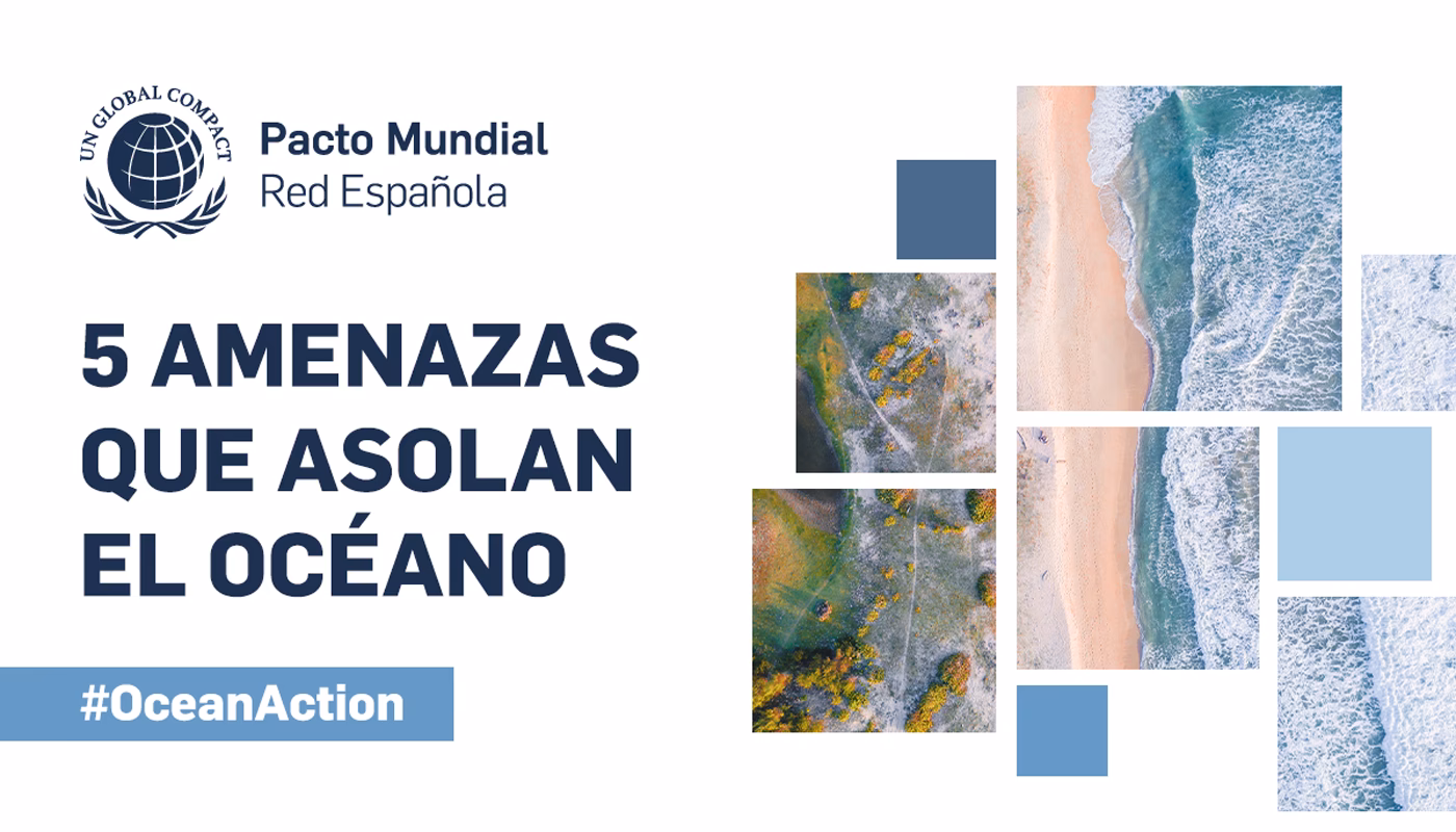 ¿Qué es la contaminación del océano?