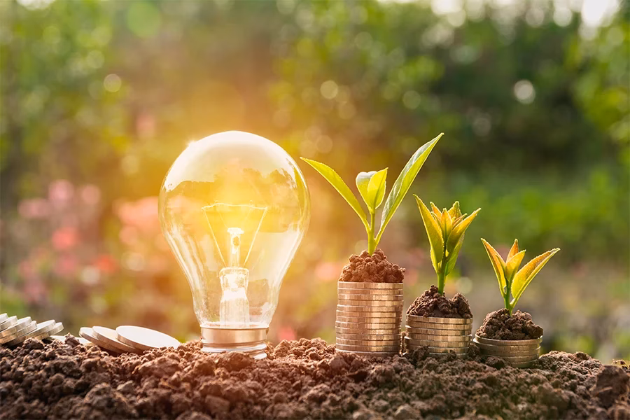 ¿Por qué es importante el medio ambiente para nuestra vida diaria?