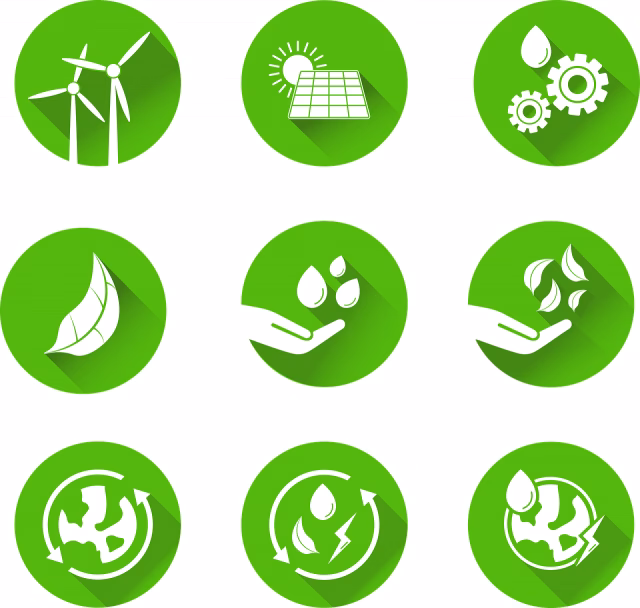 ¿Cuáles son las acciones sostenibles que puedes poner en práctica desde hoy mismo?