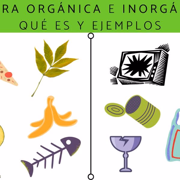 ¿Cuál es el impacto ambiental de los orgánicos y inorgánicos?