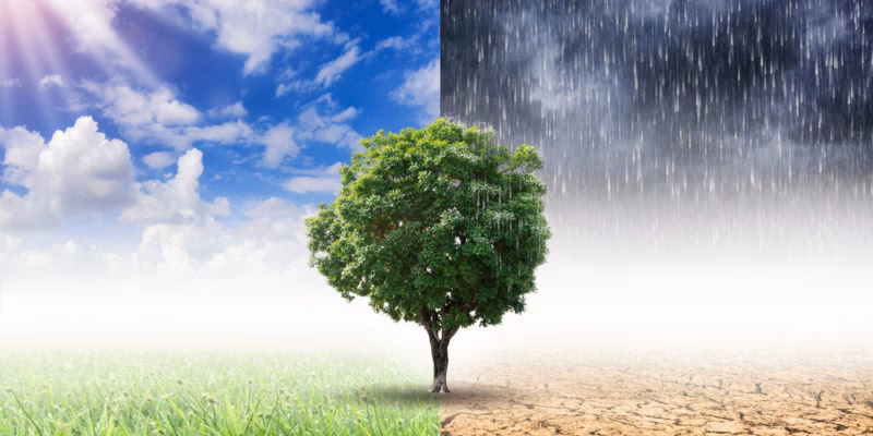 ¿Cuál es la diferencia entre las variaciones climáticas naturales y el cambio climático inducido por el ser humano?