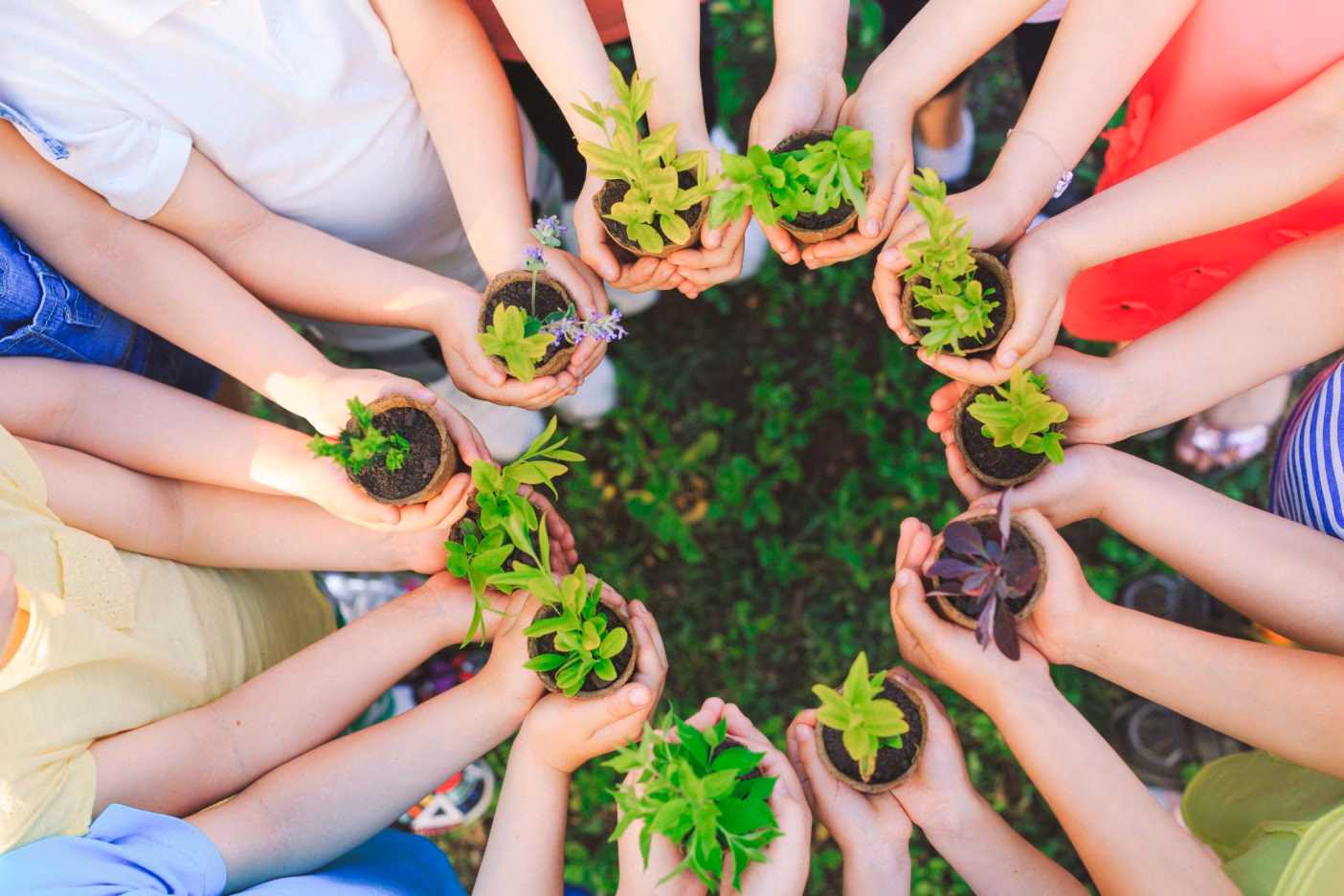¿Qué es un proyecto de Gestión Ambiental?