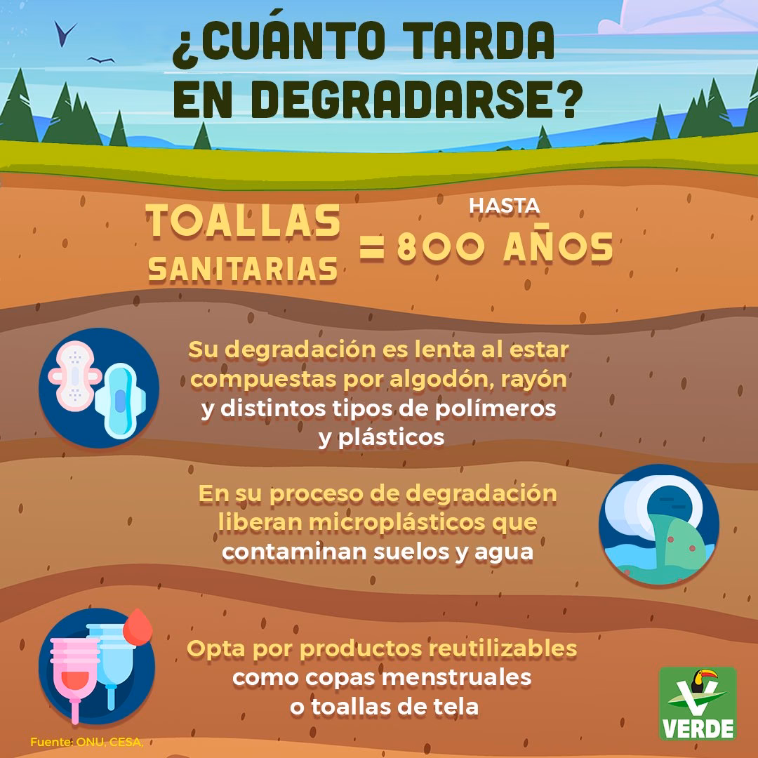 ¿Cuáles son las consecuencias de las toallas a base de plástico?