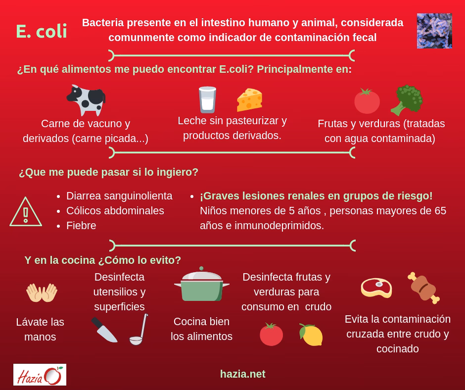 ¿Cómo prevenir la contaminación con el E coli?