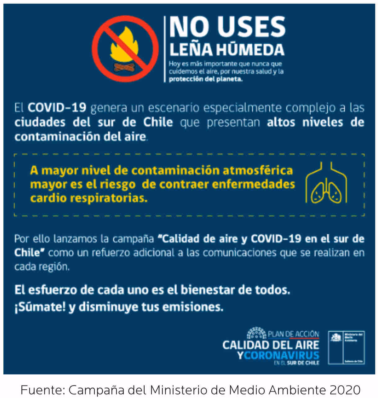 ¿Qué enfermedades puede causar el humo de leña?