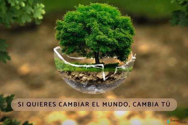 ¿Cómo contribuye el cambio climático a un mejor entorno?