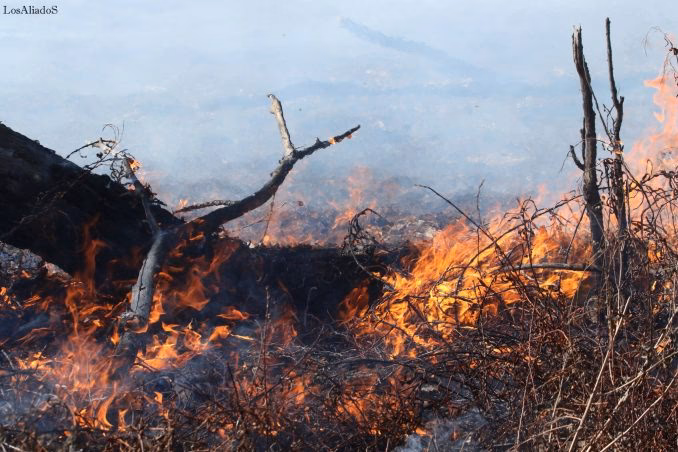 ¿Dónde se encuentra la Defensoría Regional de Rosario?