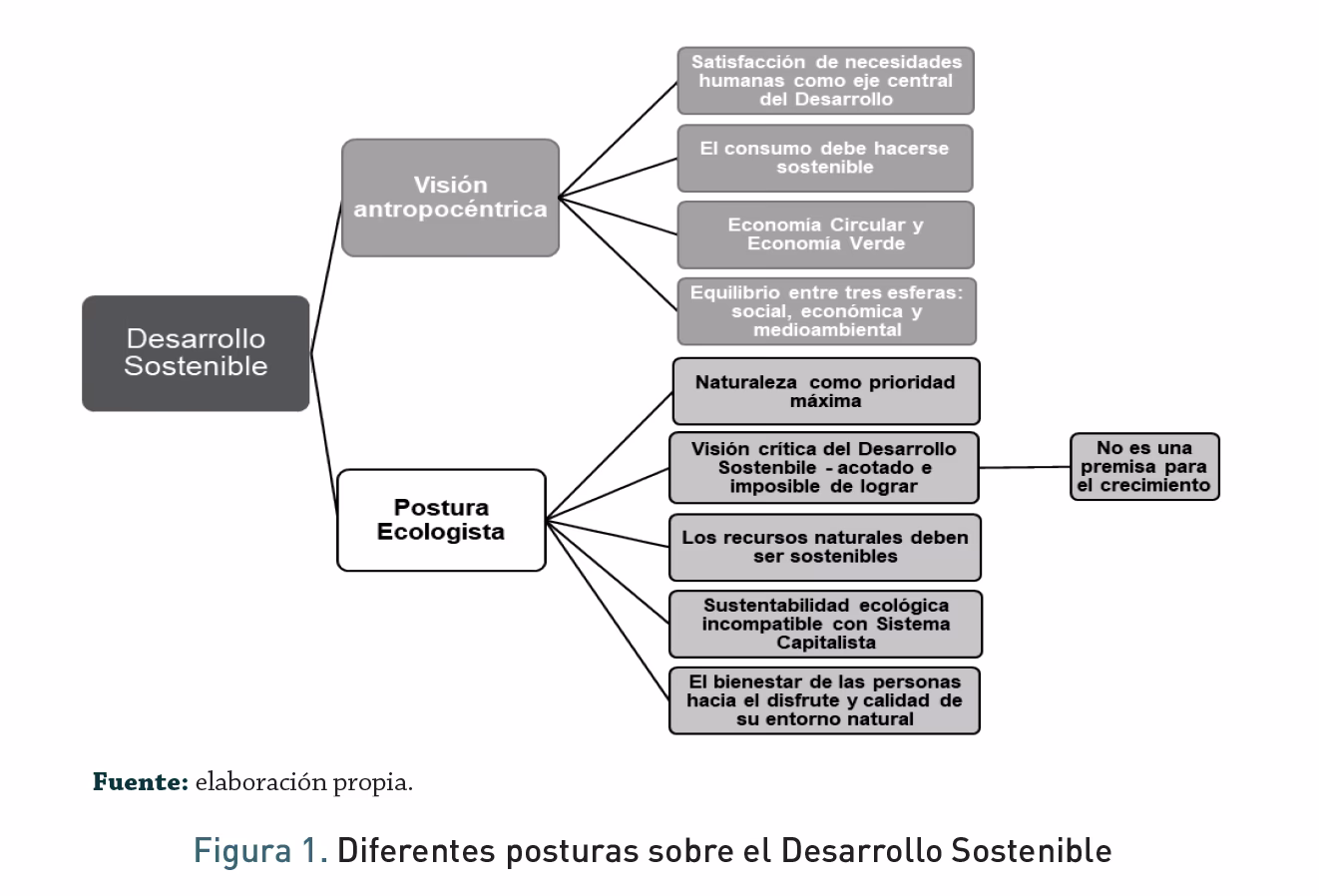 ¿Cuál es el efecto de las radiografías sobre el desarrollo del bebé?
