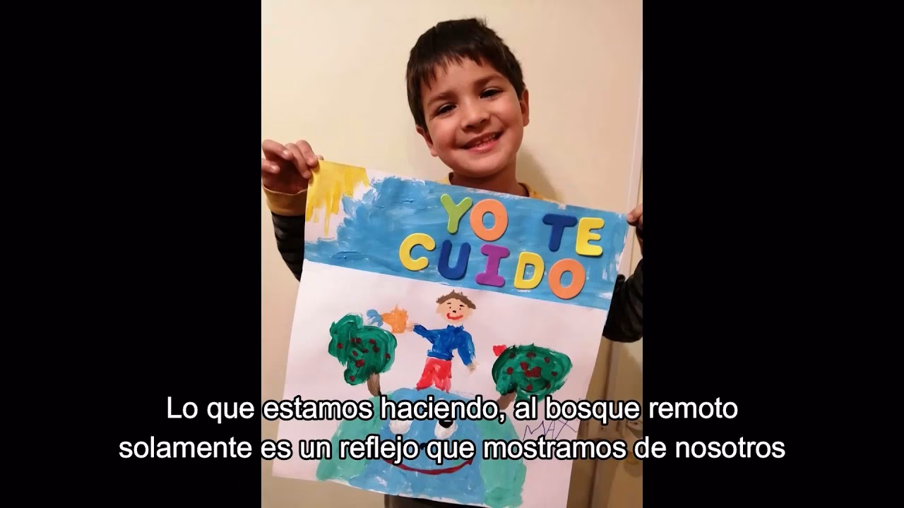 ¿Por qué las letras son importantes para el medio ambiente?