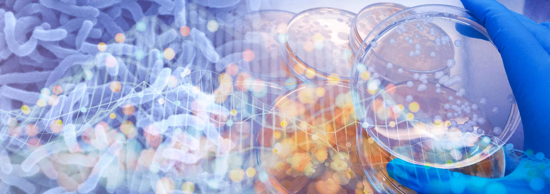 Are raw materials a source of contamination in the food industry?