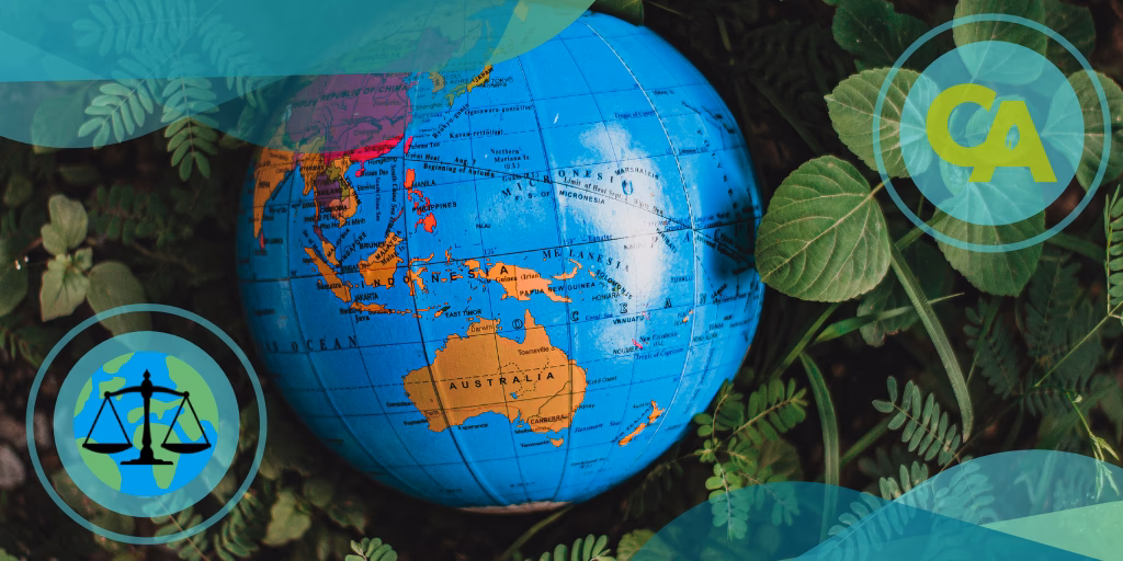 ¿Qué acuerdos llevaron a la Conferencia de las Naciones Unidas sobre el Medio Ambiente y el desarroll?