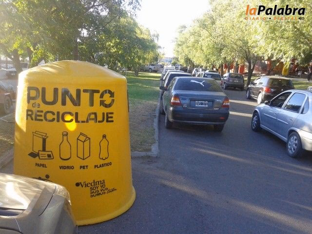 ¿Cómo se llama el aceite de oliva de Viedma?