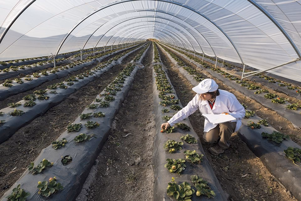 ¿Qué es el reclamo crónico a los productores agropecuarios?