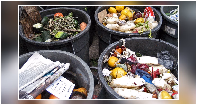 ¿Qué es el rescate de alimentos?