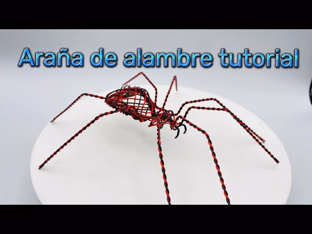 ¿Cómo solicitar la rebaja de arancel?