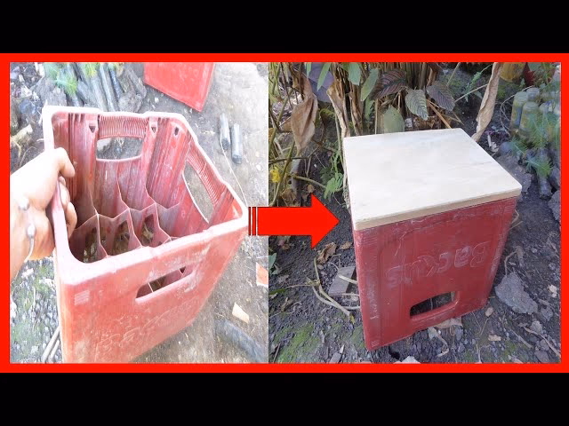 ¿Cuántas canastas de cerveza se vendían al día?