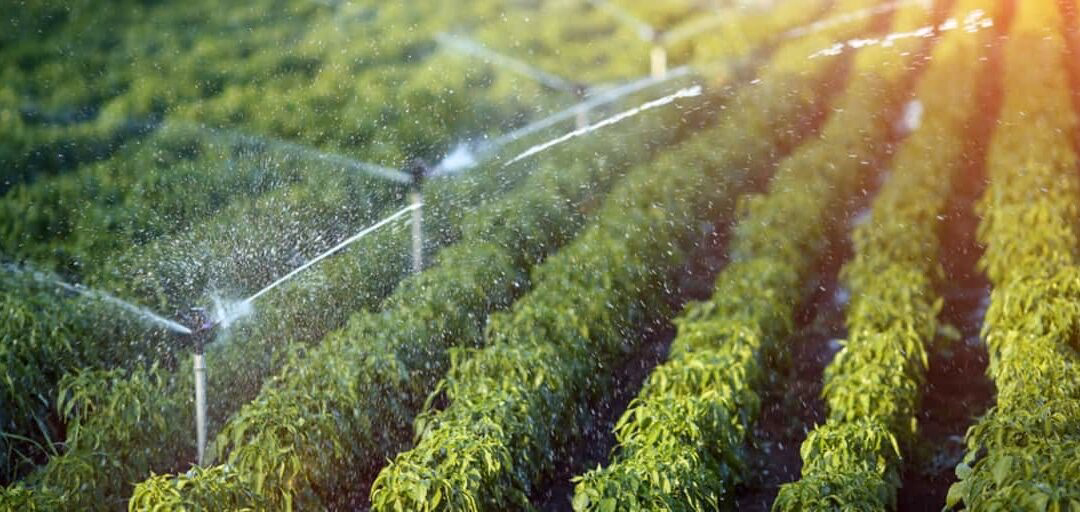 ¿Cómo instalar equipos de reciclaje de agua?