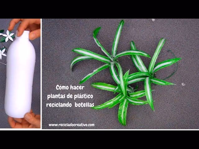 ¿Cuáles son los diferentes tipos de botellas de plástico?