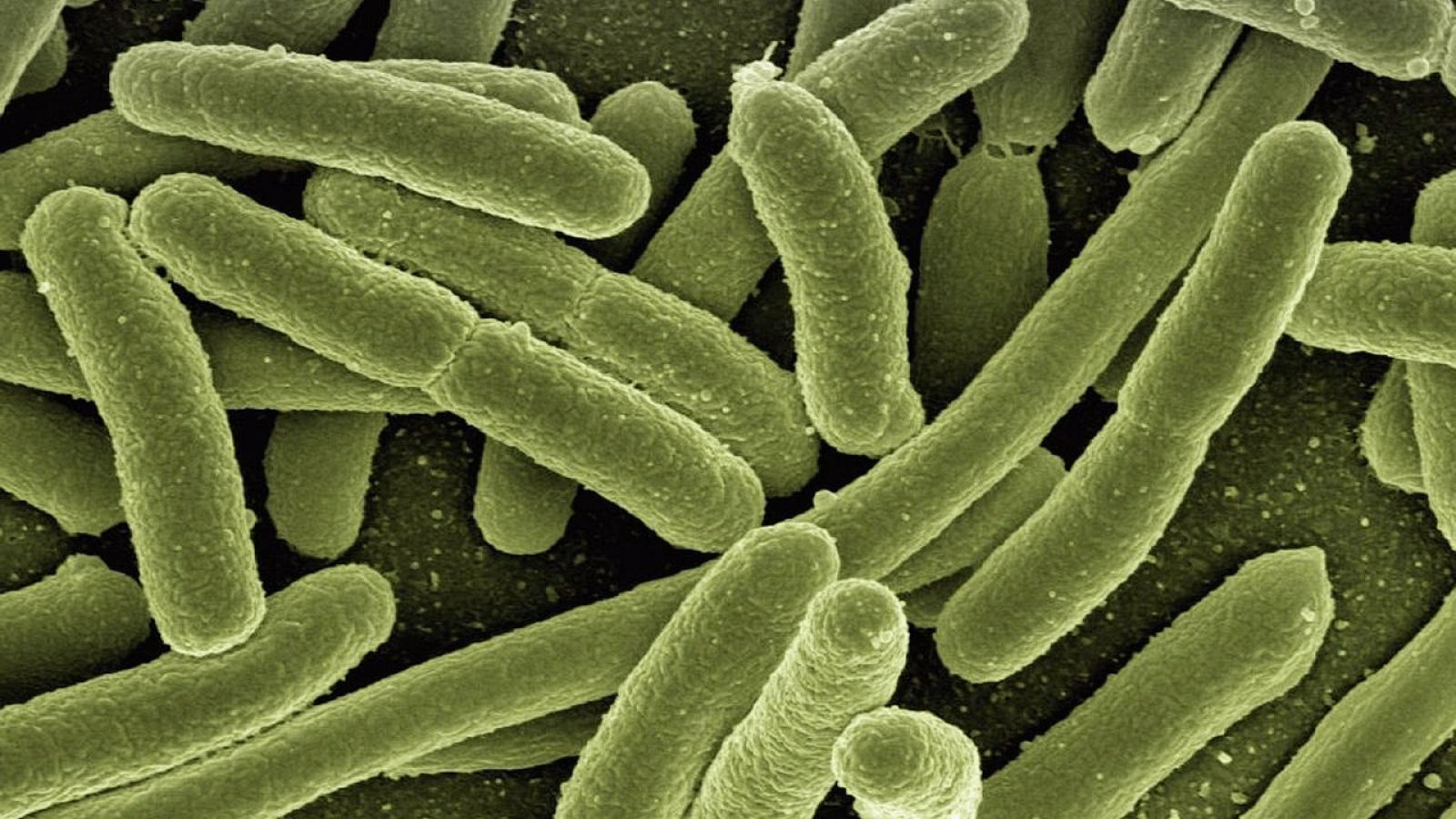 ¿Qué se puede aprender en la colina del reciclaje?