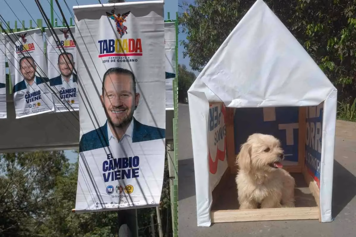 ¿Qué usos Puedes darle a tus lonas publicitarias?