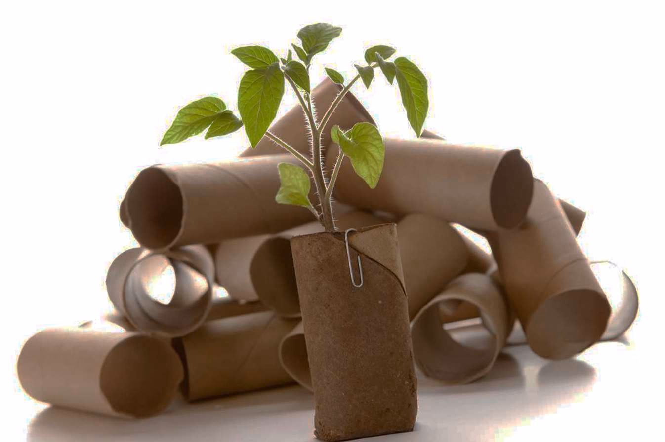 ¿Cómo reutilizar los rollos de papel?