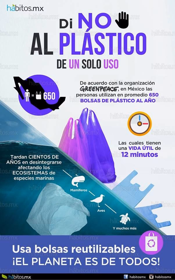 ¿Quién diseñará y implementará las campañas de difusión y concientización de los productos plásticos?