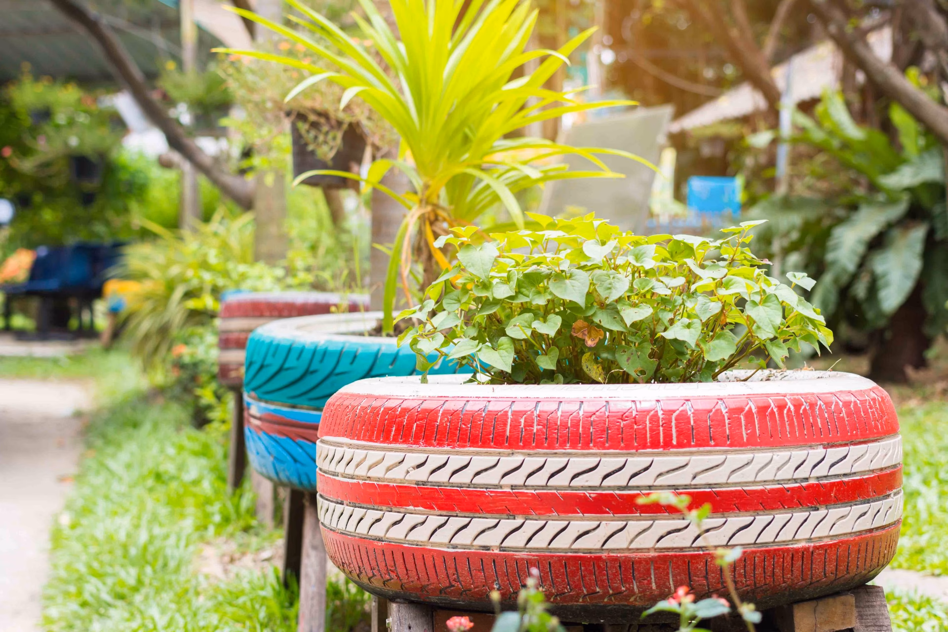 ¿Cómo se pueden reciclar los restos de poda de setos y arbustos?