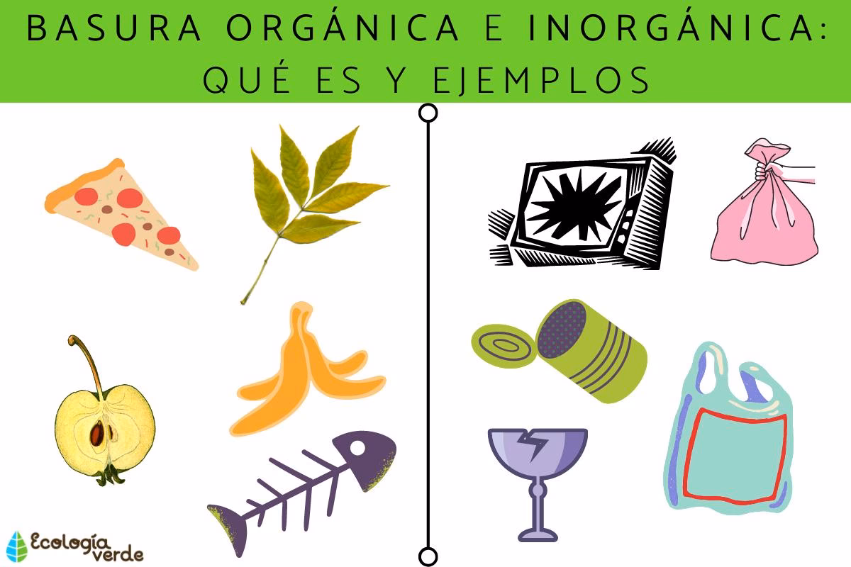 ¿Por qué es importante la gestión de residuos orgánicos e inorgánicos?