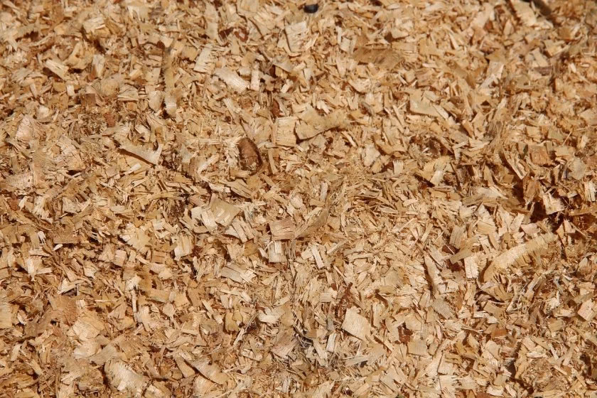 ¿Cómo se recolecta el aserrín?