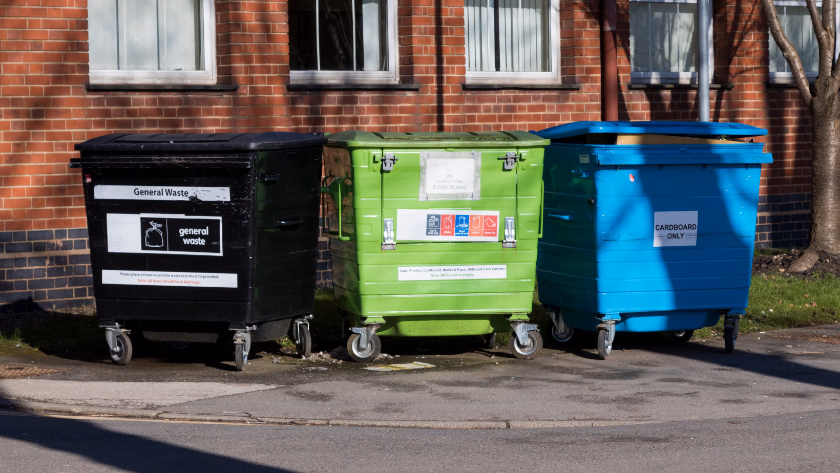 ¿Qué reclamo recibió Thourte?