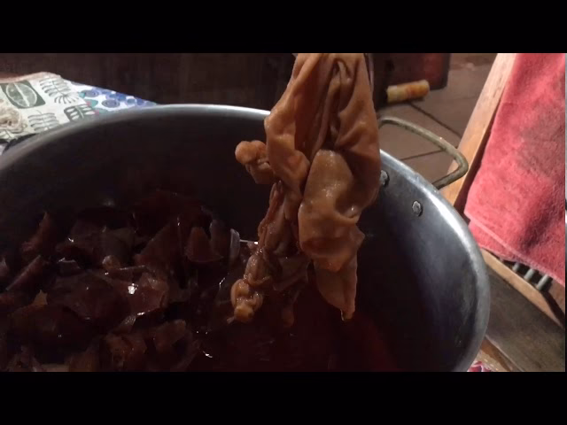 ¿Por qué no se debe cultivar la cebolla después de cereales?