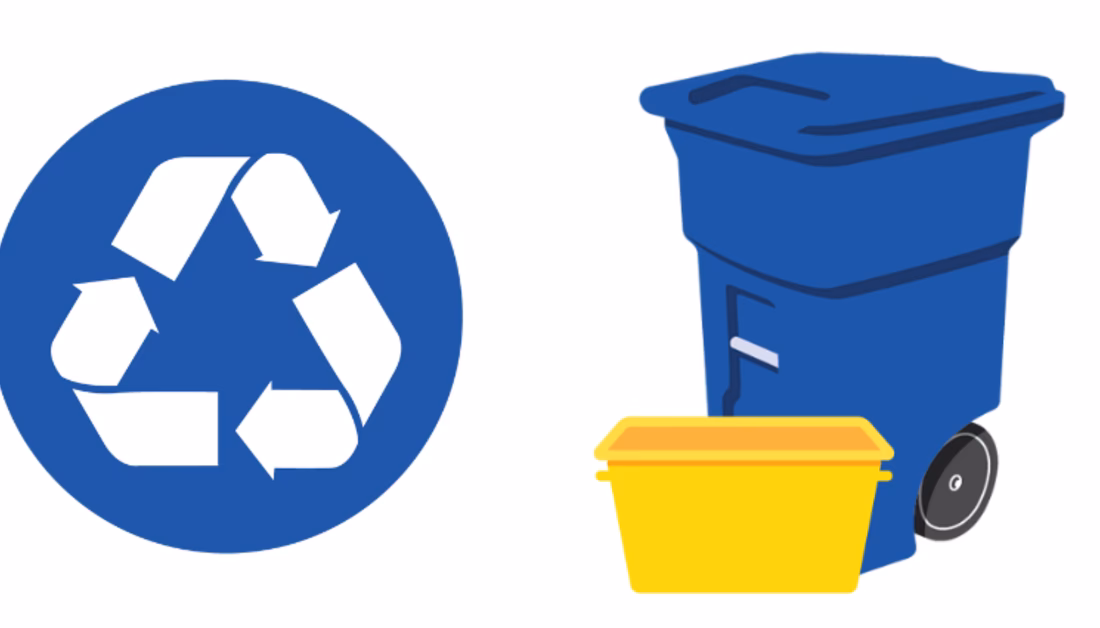 ¿Cómo descargar subtítulos?