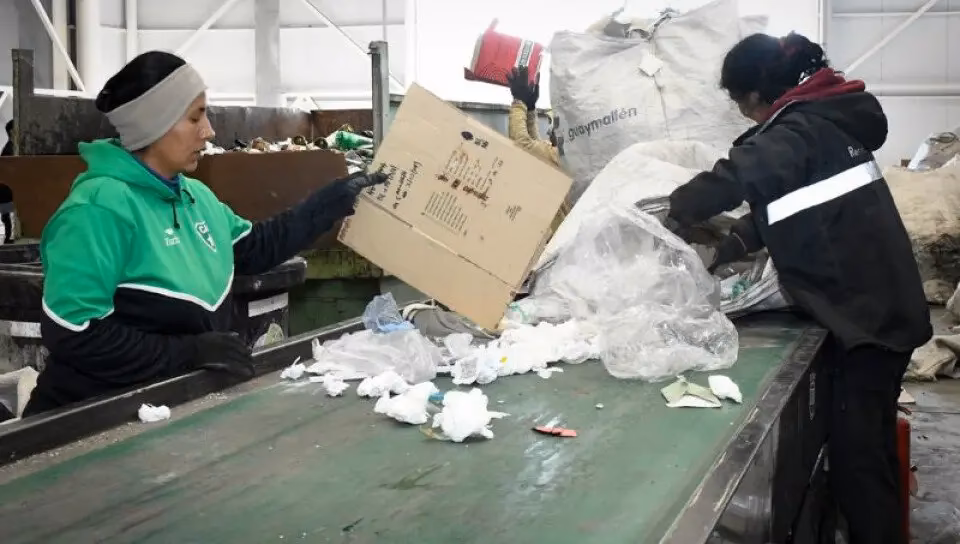 ¿Cómo reciclar a tus empleados?