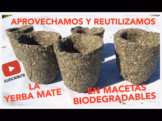 ¿Qué es el compostaje de yerba mate y té?