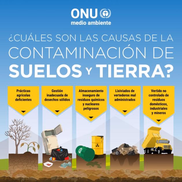 ¿Cómo puedo prevenir la contaminación del suelo?