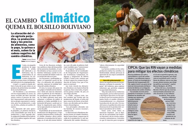 ¿Cuántos frentes de deforestación hay en el mundo?