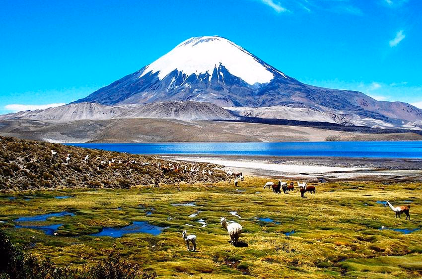 ¿Qué opinan los chilenos sobre el cambio climático?