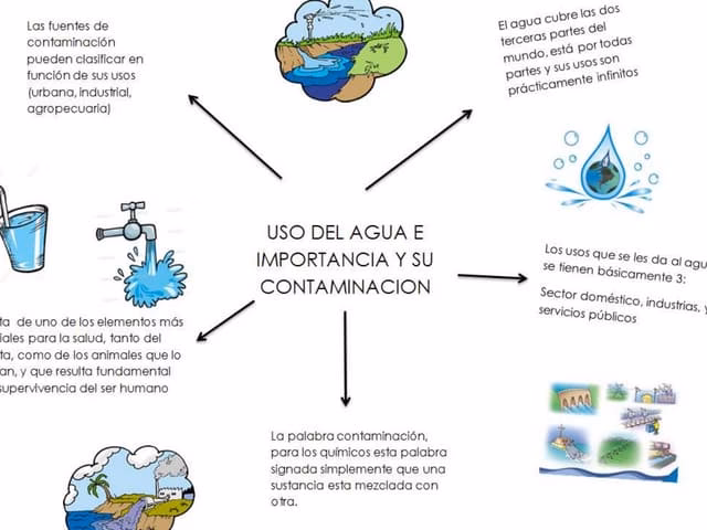 ¿Cuál es el impacto negativo de la contaminación del agua?