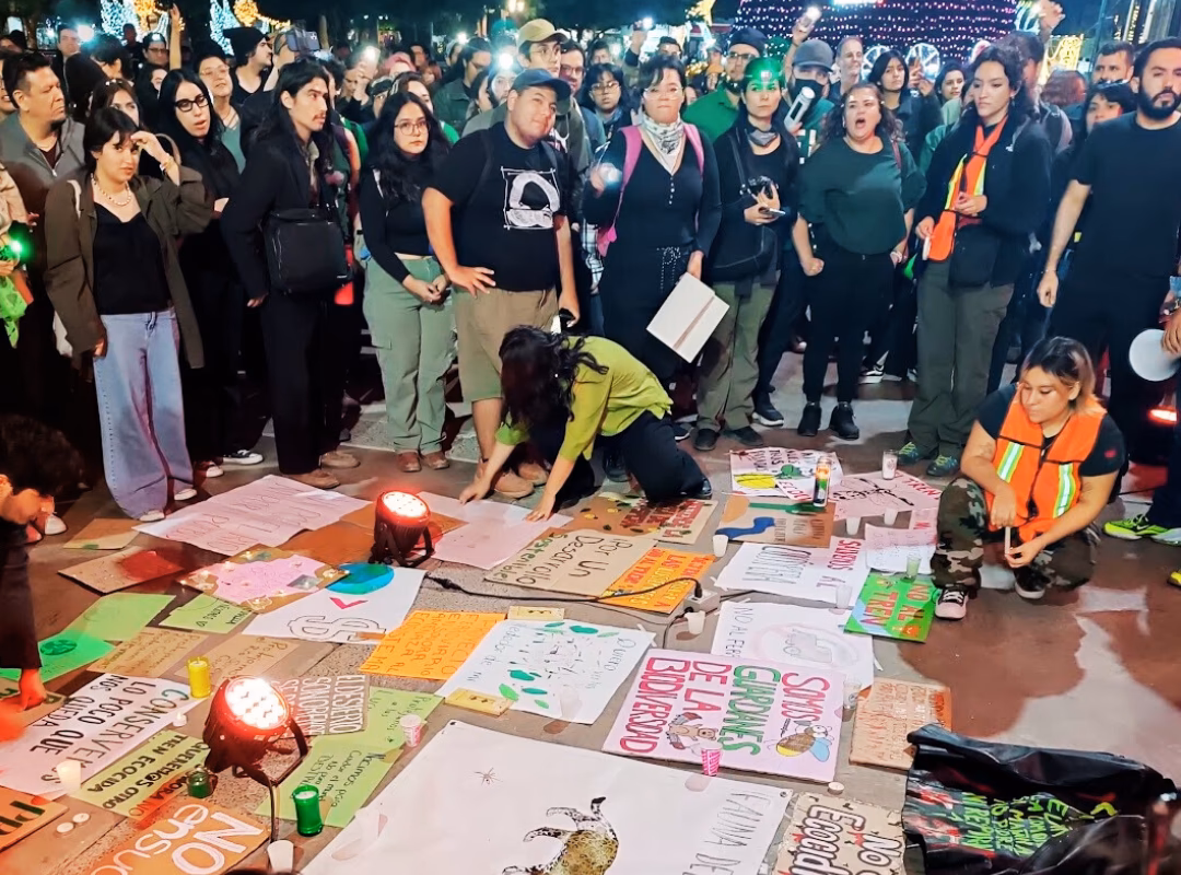 ¿Qué están tratando de hacer los defensores del Medio Ambiente?