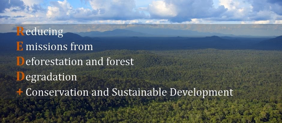 Will Redd+ reduce emissions from deforestation and degradation?