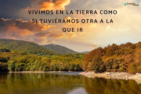 ¿Cómo reducir la contaminación del aire?