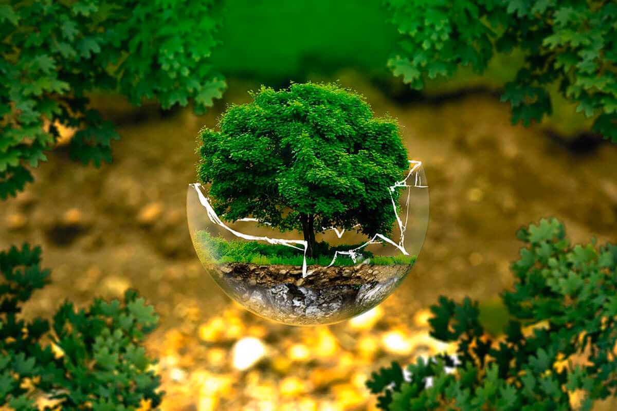 ¿Cuál es el reto medioambiental de los refrigerantes?