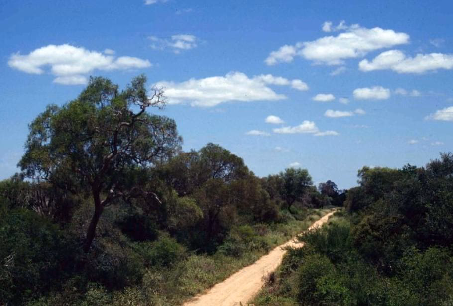 ¿Dónde se encuentra la provincia chaqueña?