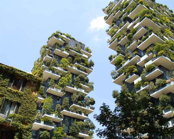 ¿Cuál es la relación entre la arquitectura y el medio ambiente?