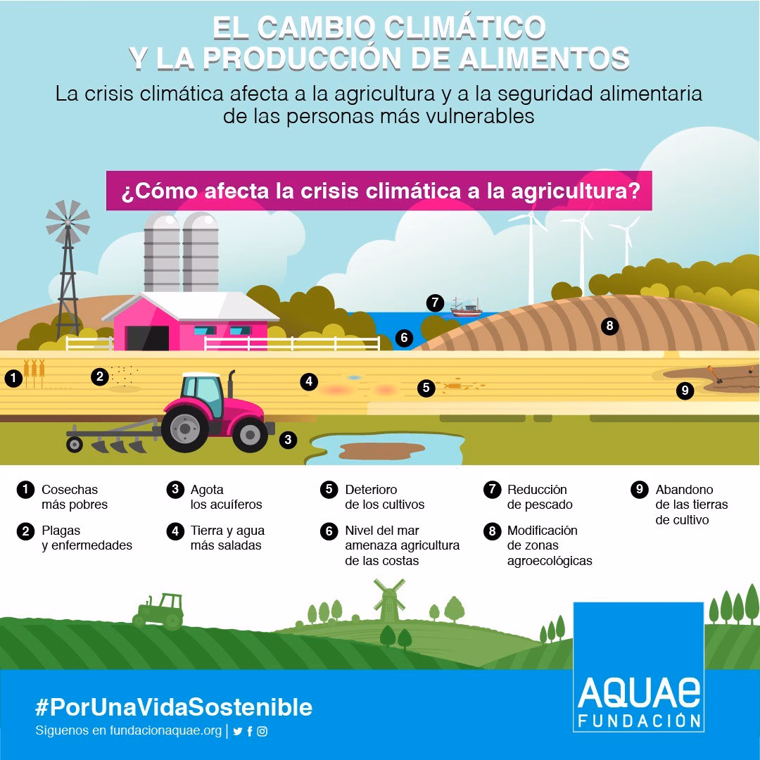 ¿Cómo afecta el calentamiento global a la producción agrícola?