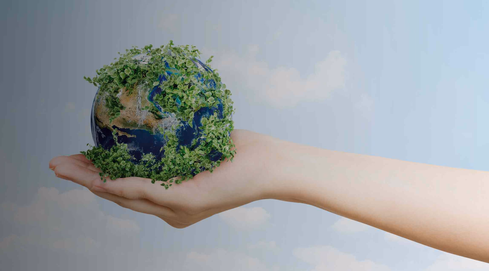 ¿Qué relación tiene la ética con el medio ambiente?