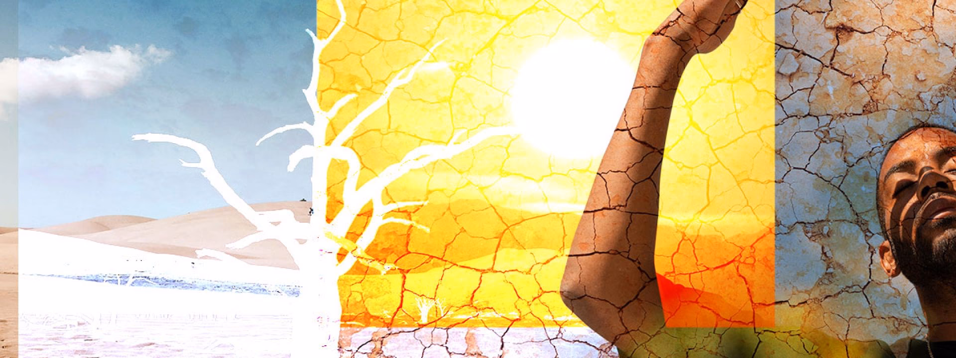 ¿Cuántas personas están afectadas por golpe de calor?