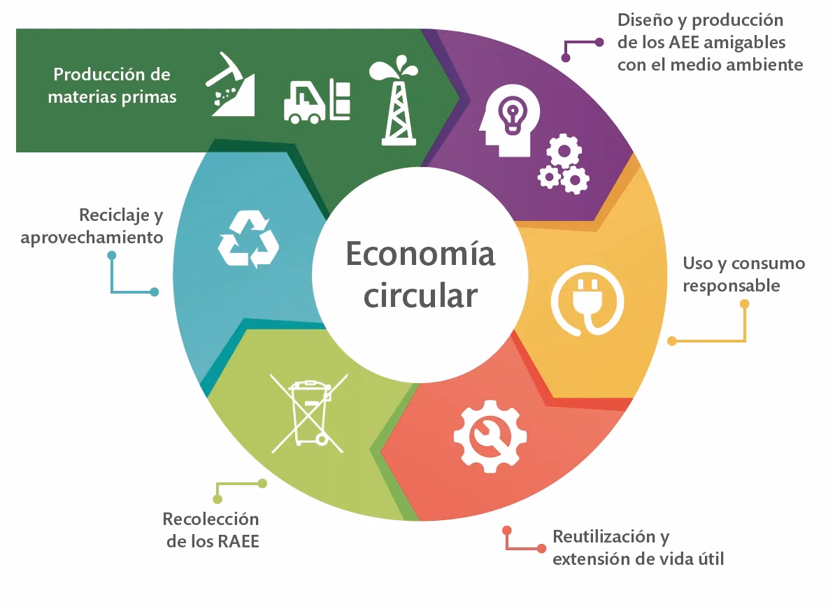 ¿Cómo implementar con éxito la economía circular?