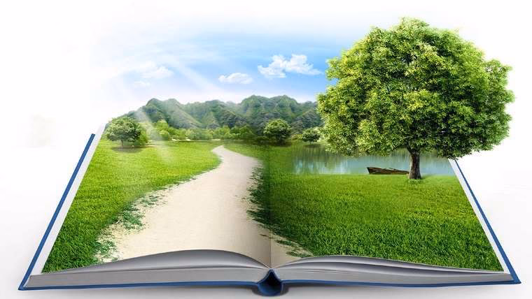 ¿Cuál es la importancia de la literatura en el cuidado del Medio Ambiente?