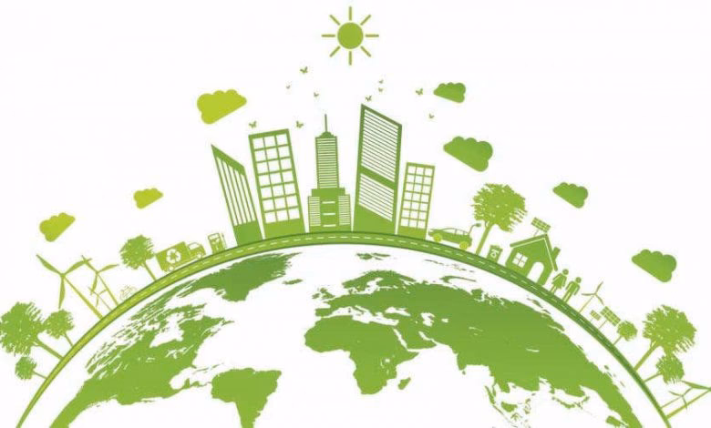 ¿Cuál es la importancia del Medio Ambiente en las organizaciones?